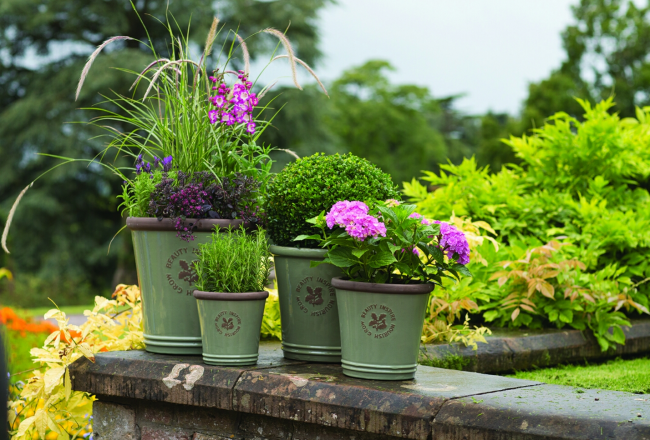 Containers, Stoneware and Terracotta Pots